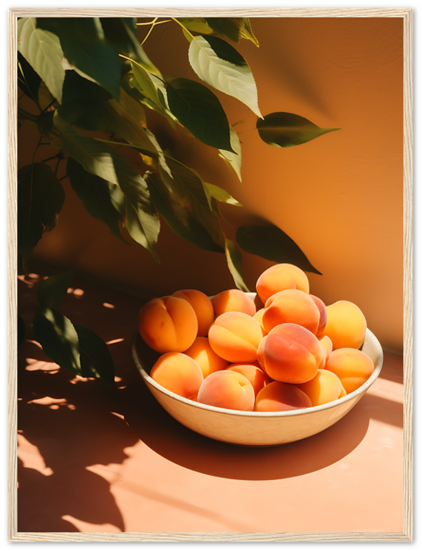 Bowl of apricots on a table with sunlight and plant shadows.