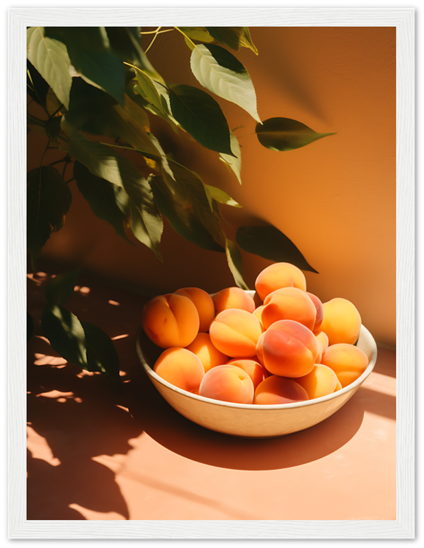 A bowl of ripe apricots in sunlight beside green leaves against an orange wall.