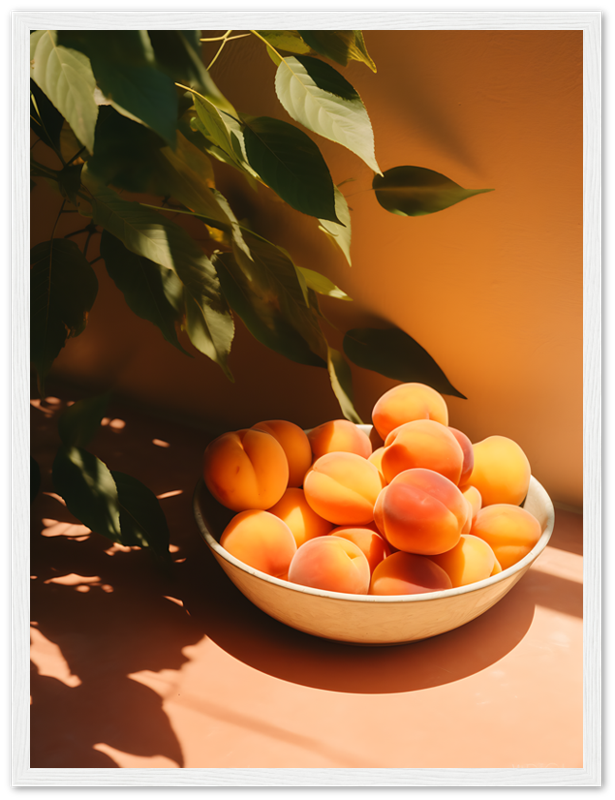 A bowl of ripe apricots in sunlight, with plant shadows on an orange surface.