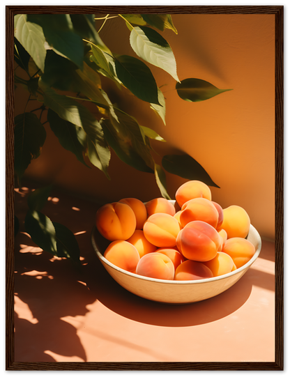 A bowl of fresh apricots in sunlight with plant shadows on an orange background.