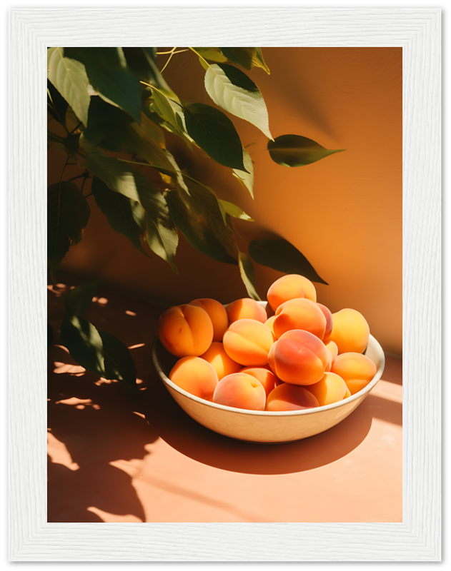 A bowl of ripe apricots in sunlight with plant shadows.