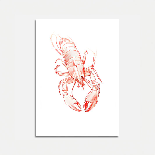 Illustration of a red lobster on a white canvas.