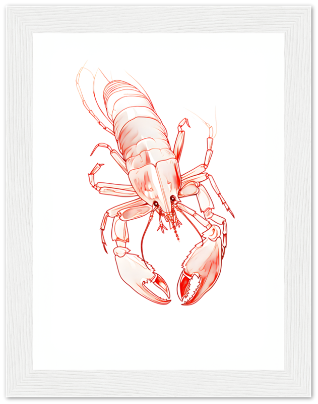 Illustration of a lobster in a white frame on a white background.