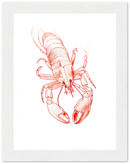 Illustration of a lobster in a white frame on a white background.
