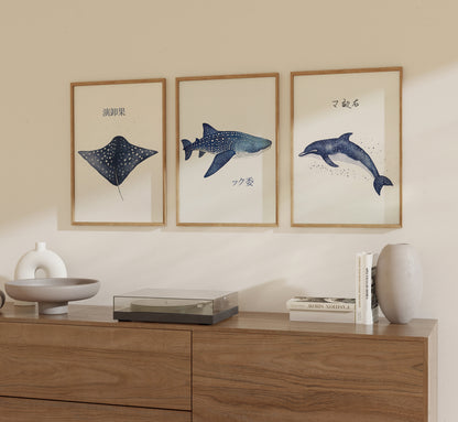 Three framed illustrations of marine animals on a wall above a wooden sideboard.