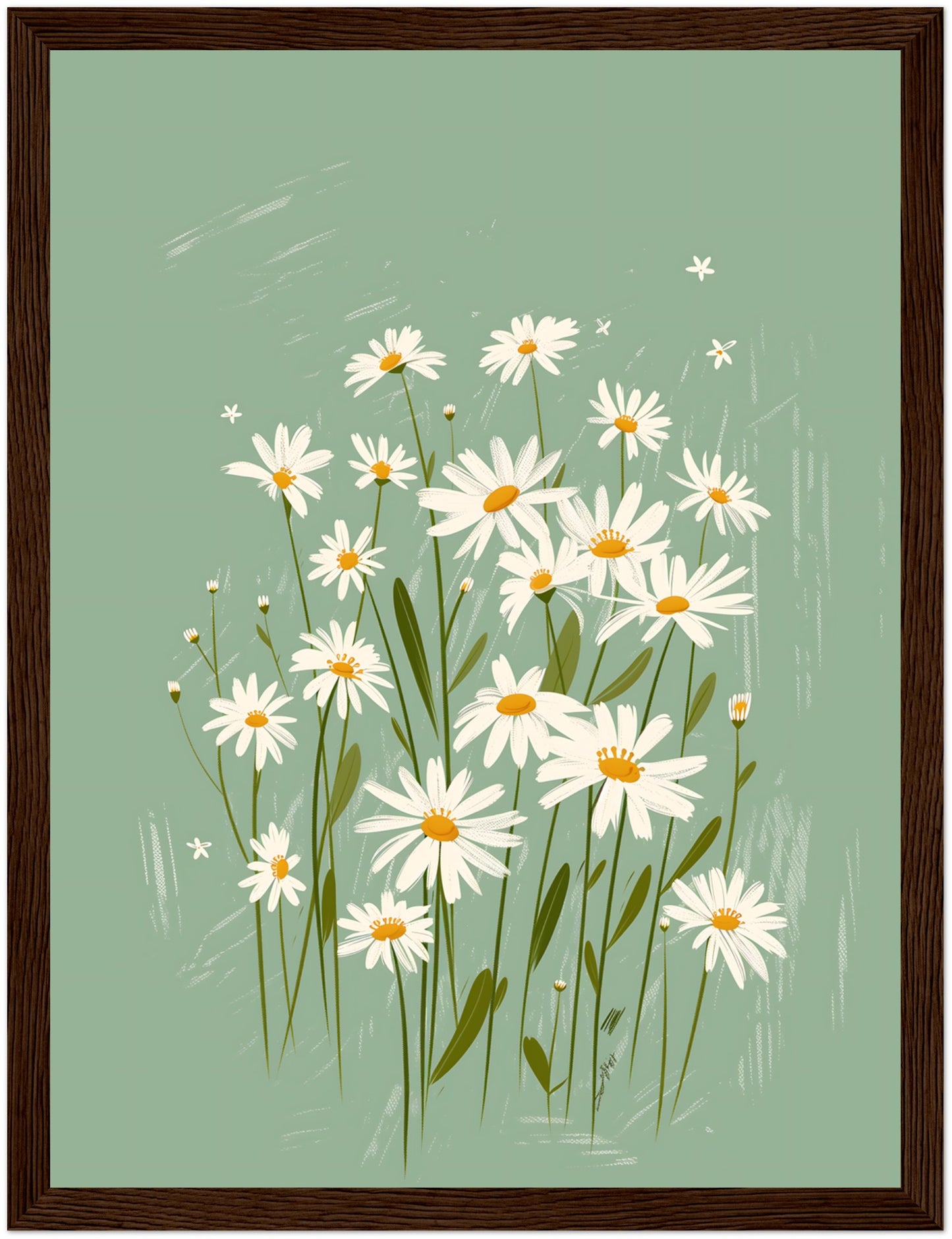 A framed illustration of white daisies with yellow centers on a teal background.