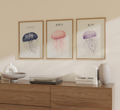 Three framed jellyfish illustrations on a wall above a wooden sideboard.