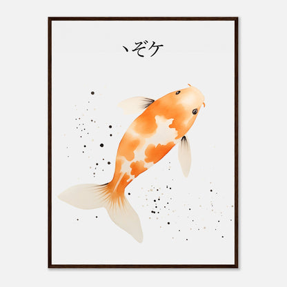 Poisson Koi orange japonais - Affiche