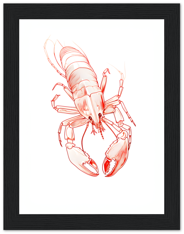 Red lobster illustration in a black frame.