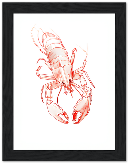 Red lobster illustration in a black frame.