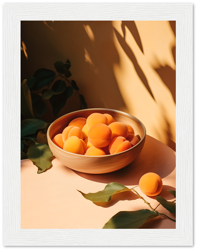 A bowl of apricots on a sunlit table with plant shadows.