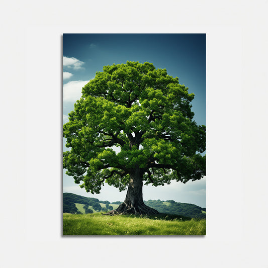 A solitary oak tree with lush green leaves standing in a grassy field under a clear sky.
