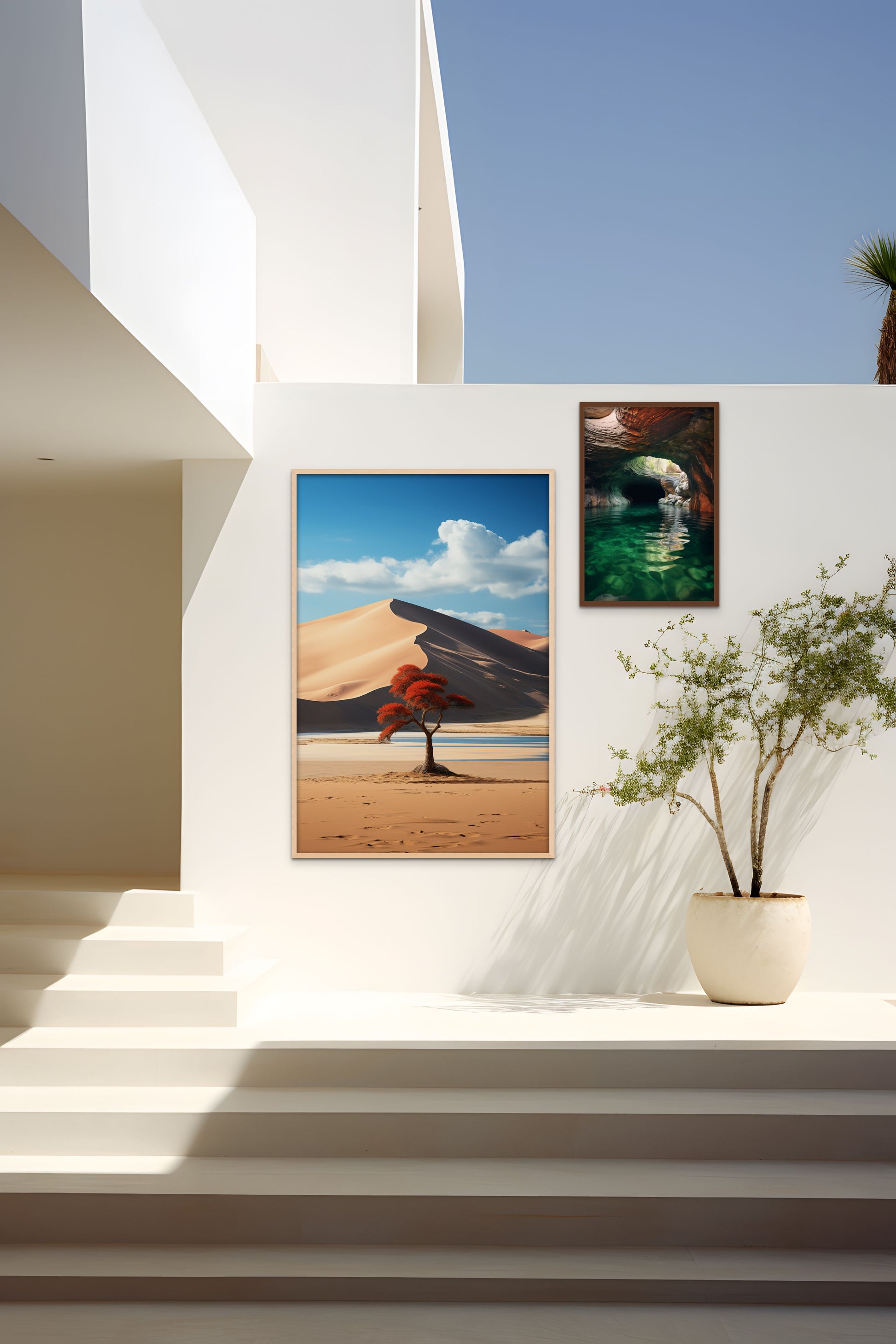 A modern staircase with framed photographs on the wall and a potted plant beside it.
