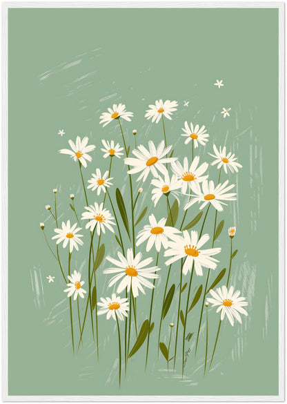 A framed illustration of white daisies with yellow centers on a teal background.