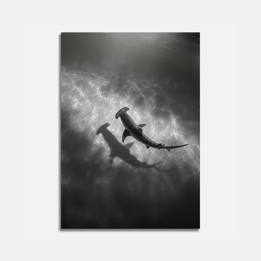 Hammerhead Sharks Ocean Depths Poster