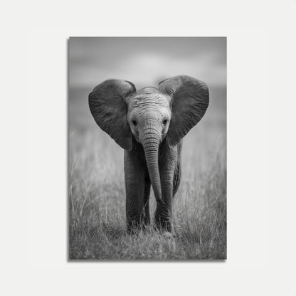 Majestic Baby Elephant Portrait Poster