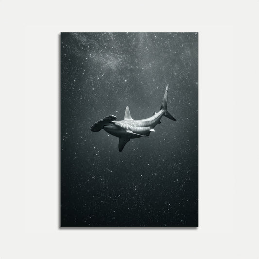 Hammerhead Shark Dark Waters Poster