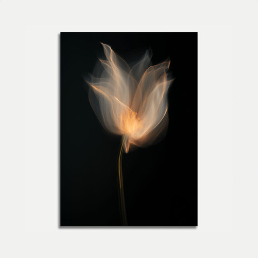 Ethereal Translucent Flower Poster