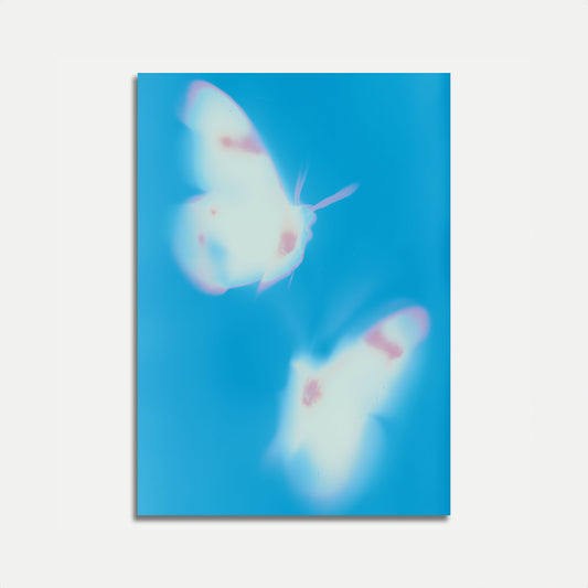 Ätherischer Blauer Schmetterling Poster