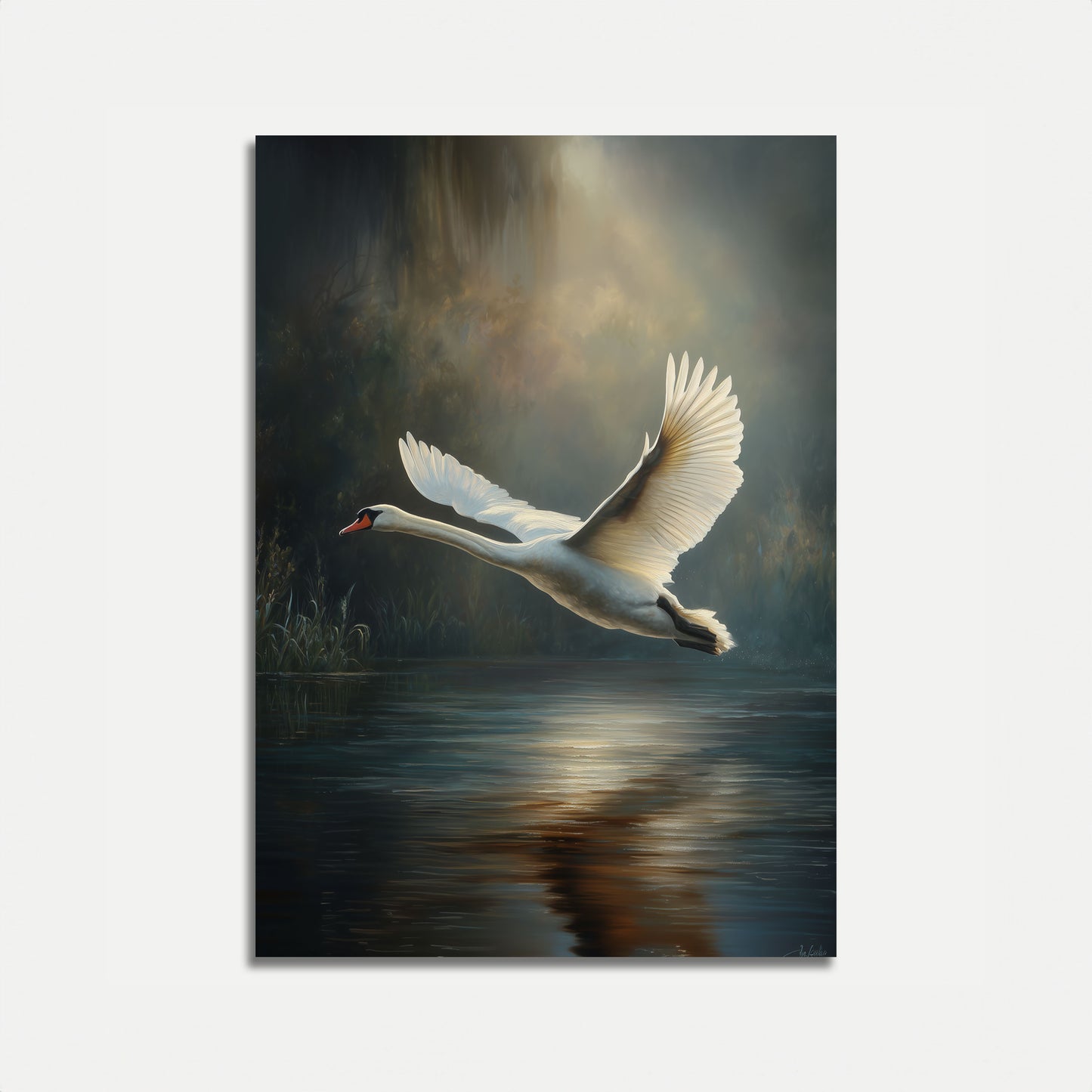 Affiche Cygne en vol