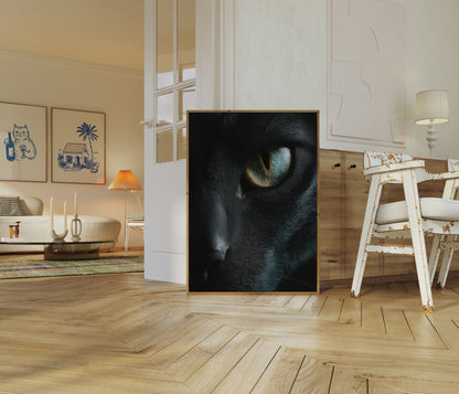 Mysterious Black Cat Eye Poster