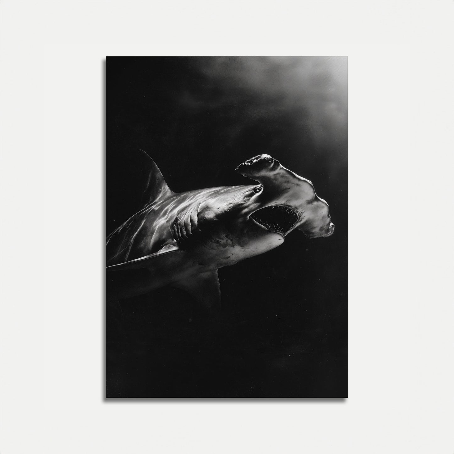 Great Hammerhead Shark Dark Poster