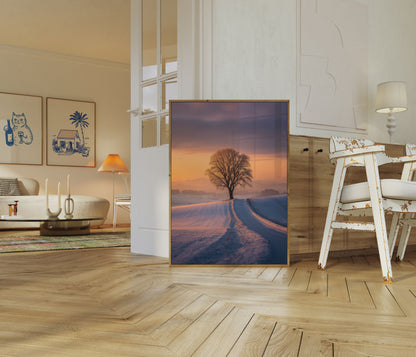 Solitary Winter Tree Sunset Poster