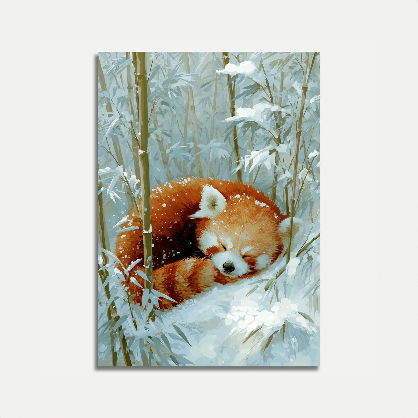 Cartaz do Panda Vermelho Dormindo na Neve