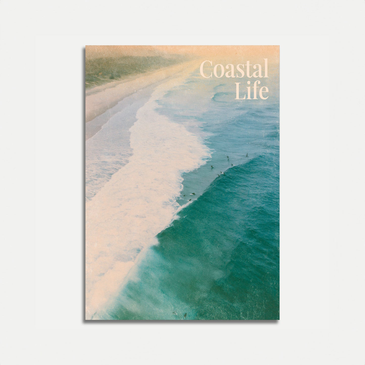 Poster Ondate Oceaniche Vita Costiera