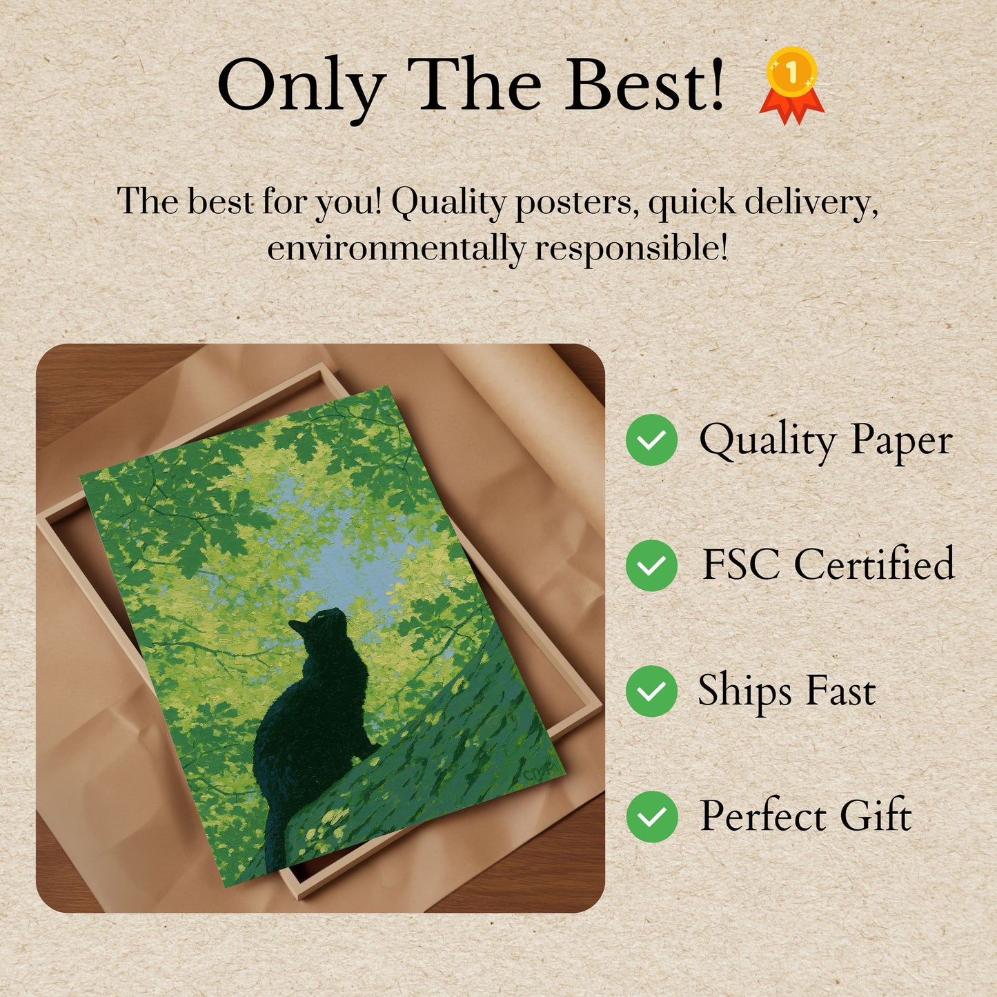 Poster Gato Preto Olhando Para Cima