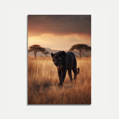 Póster de la Pantera Negra de la Sabana