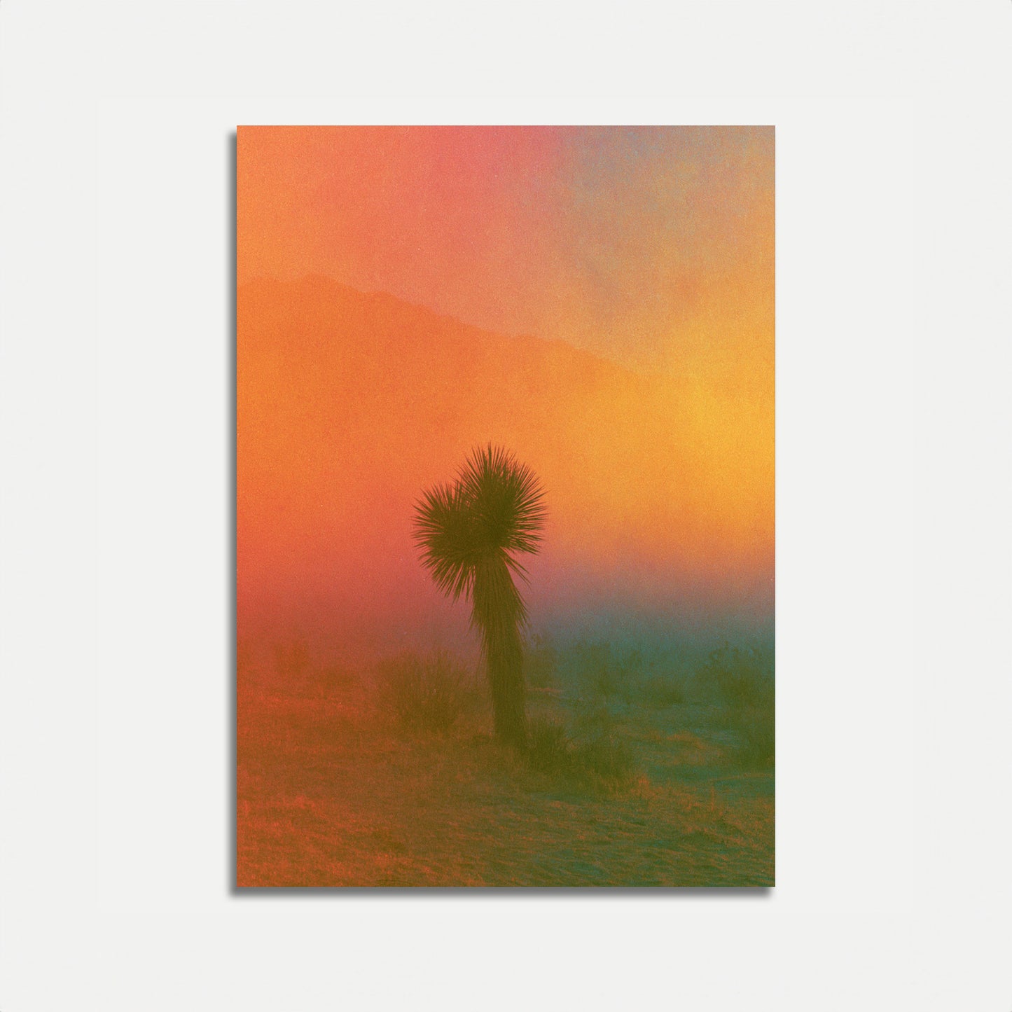 Desert Palm Sunset Landscape Poster