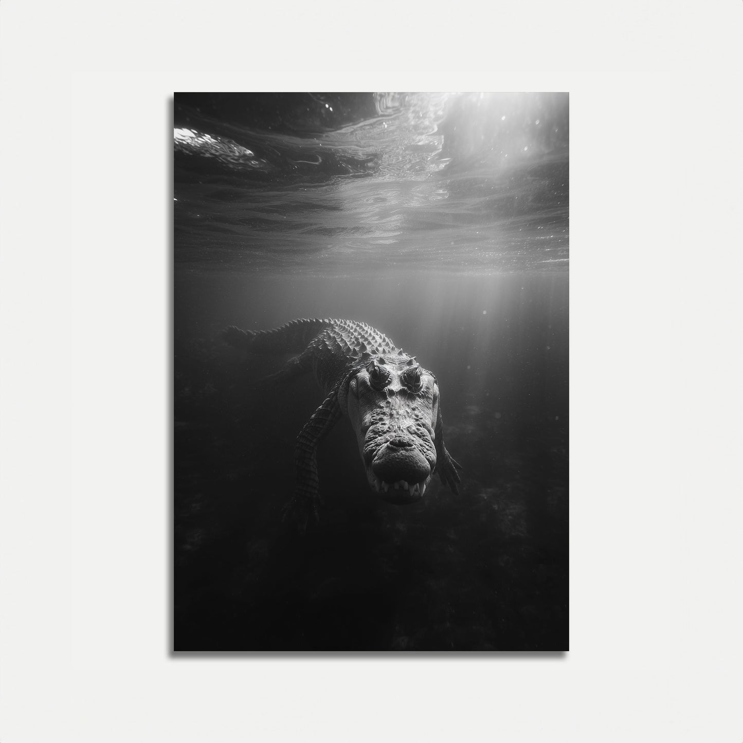 Underwater Predator Black and White Poster