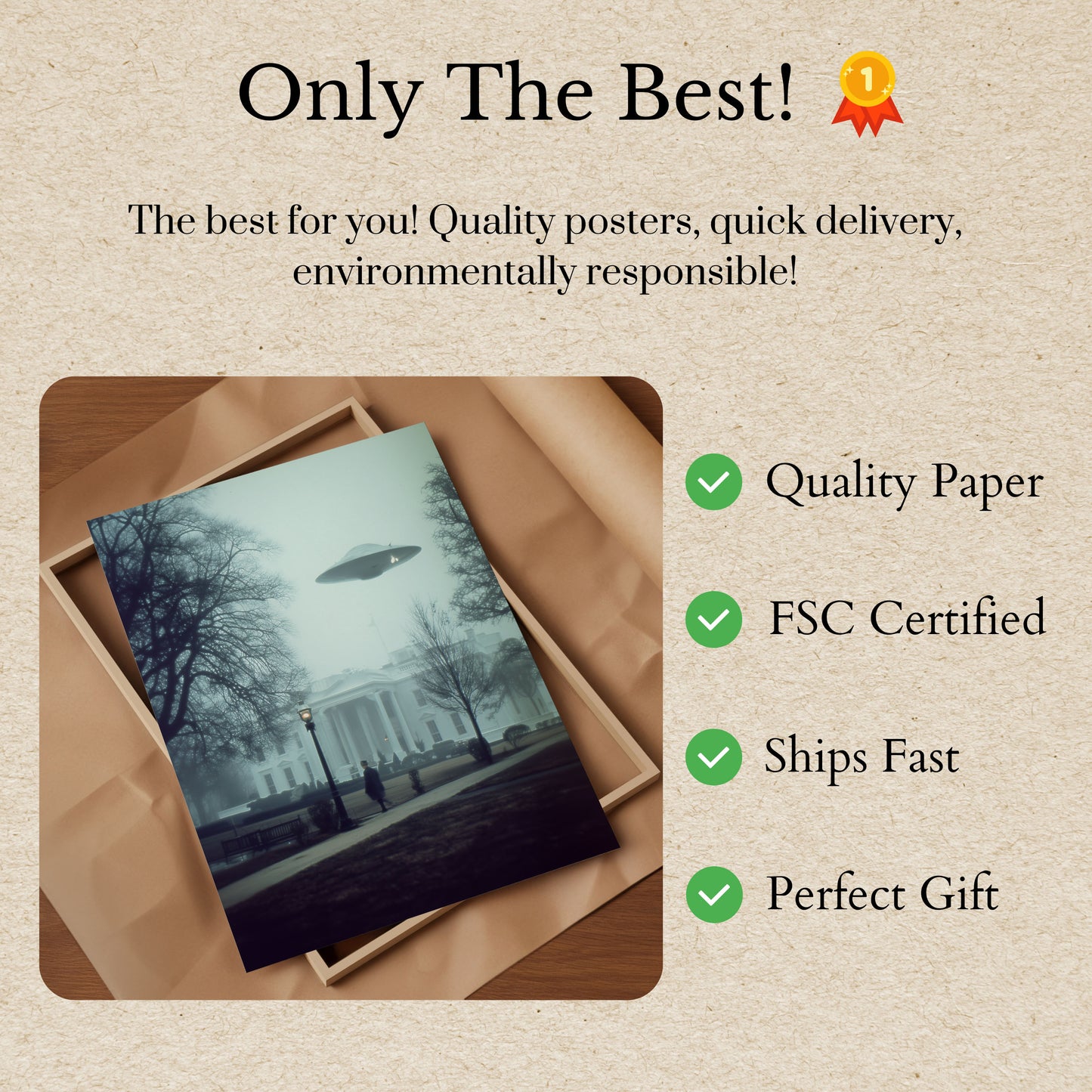 UFO White House Encounter Poster