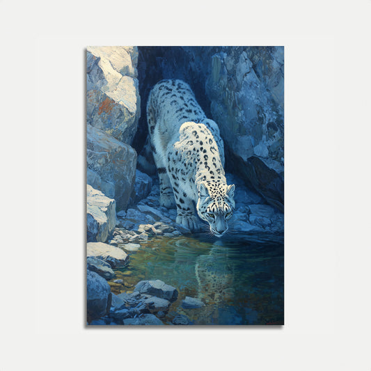 Snøleopard ved Fjellbekk Plakat