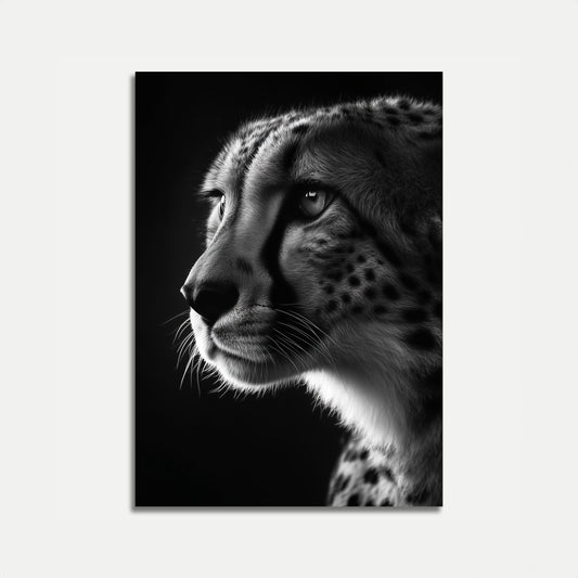 Intense Cheetah Black and White Poster