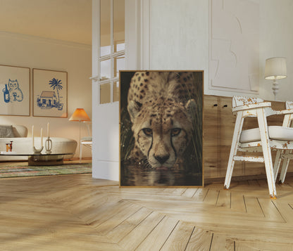 Póster de guepardo bebiendo agua intensamente