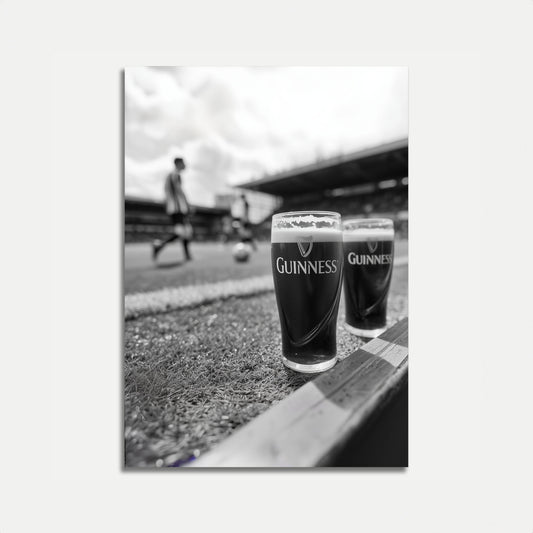 Guinness Stadium Sideline Poster