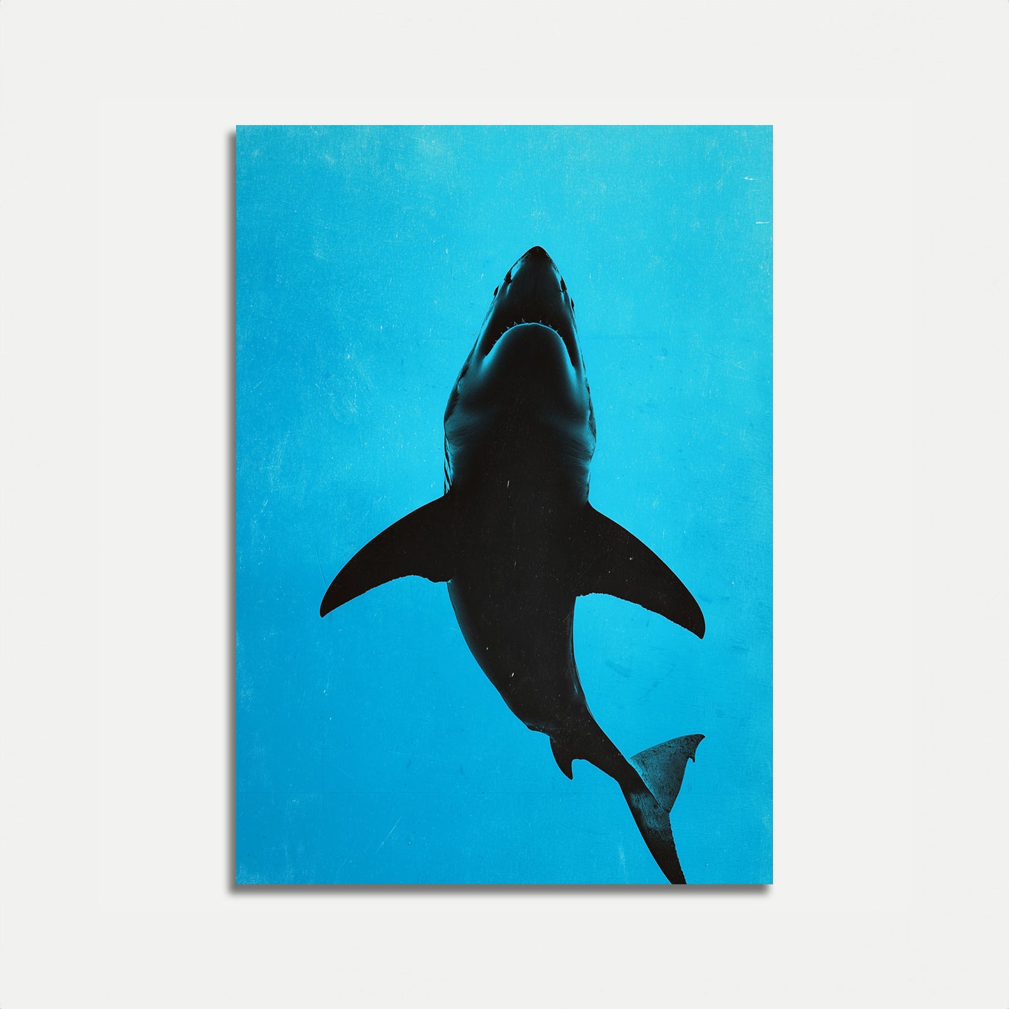 Great White Shark Silhouette Poster