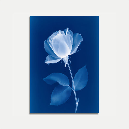 Ethereal Blue Rose Poster