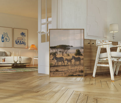 African Zebra Family Wilderness Poster