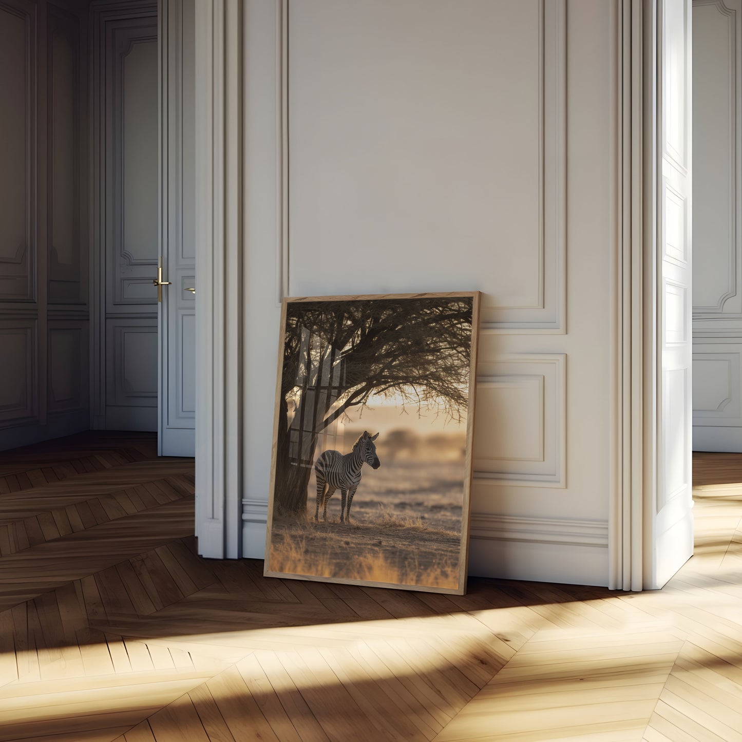 Lone Zebra Under Acacia Poster