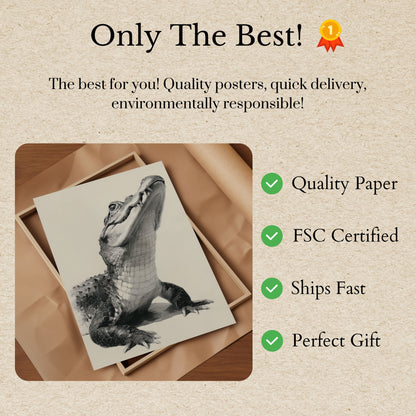 Póster con boceto de cocodrilo feroz