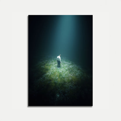 Póster del Hombre Solitario en Campo de Flores
