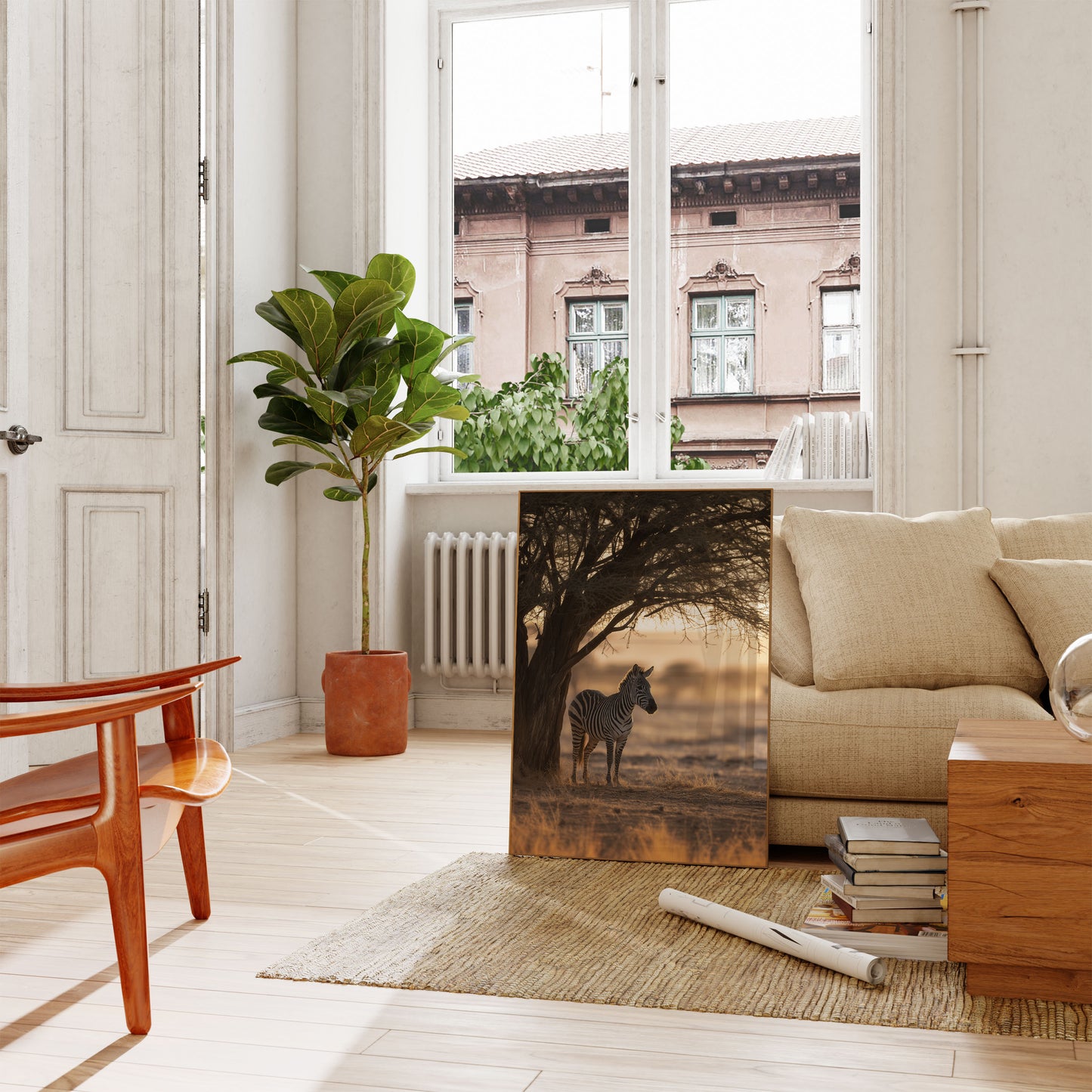 Lone Zebra Under Acacia Poster