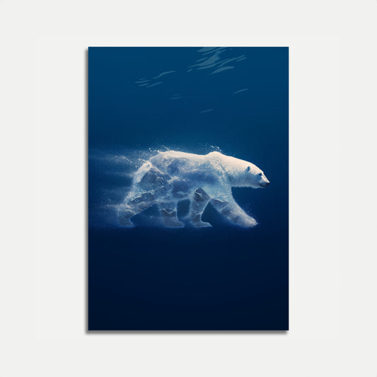 Póster de movimiento del oso polar en el Ártico