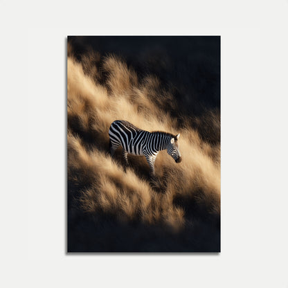 Zebra in Golden Grasslands Poster
