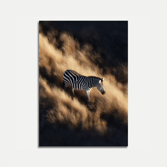 Zebra in Golden Grasslands Poster