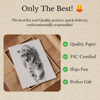 Fierce Cheetah Black and White Poster