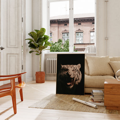 Plakat: Hvid tiger brøler vildt